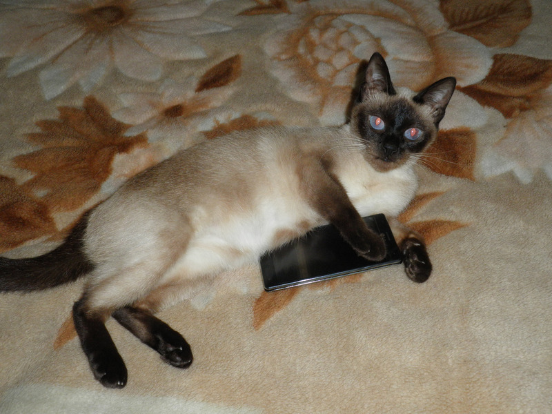 Обзор LG Optimus 4X HD — четыре ядра уже реальность!