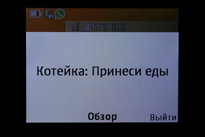 Обзор Nokia Asha 210 Стильный бюджетник image