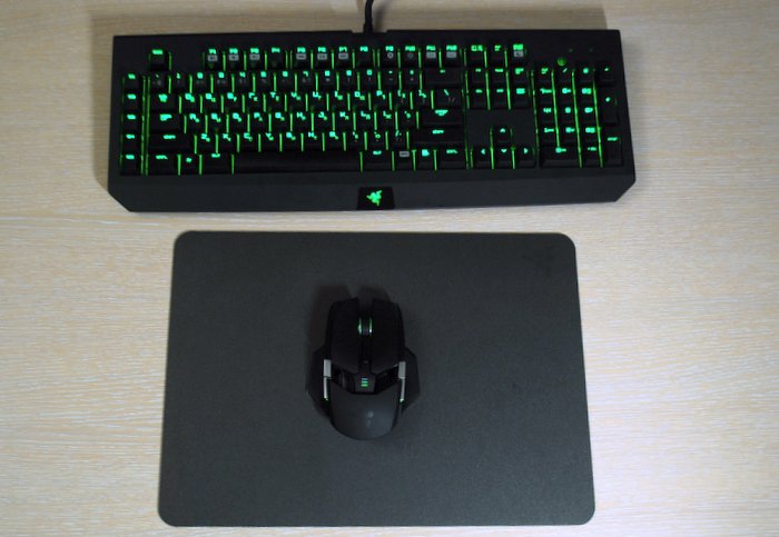 Обзор Razer Ouroboros и Blackwidow. Или как я клавиатуру с мышкой менял Обзор Razer Ouroboros и Blackwidow. Или как я клавиатуру с мышкой менял