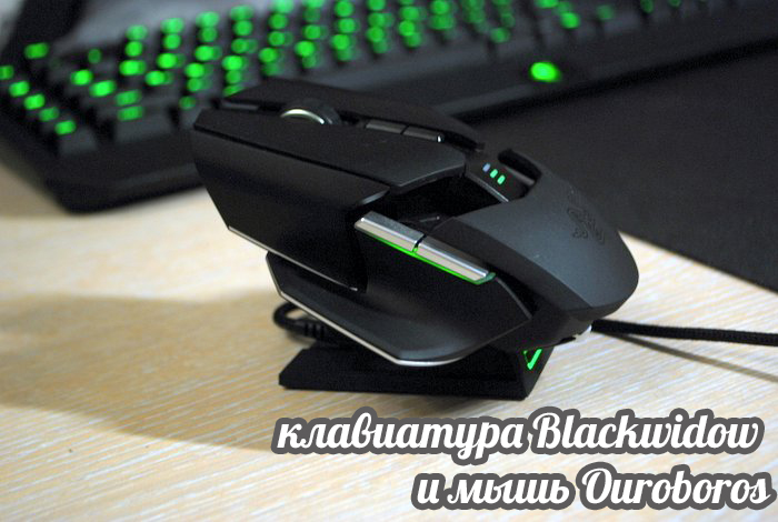 Обзор Razer Ouroboros и Blackwidow. Или как я клавиатуру с мышкой менял