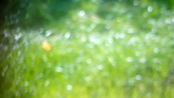 Обзор Vowney Verne V5. MTK процессор с поддержкой OTG Обзор Vowney Verne V5. MTK процессор с поддержкой OTG