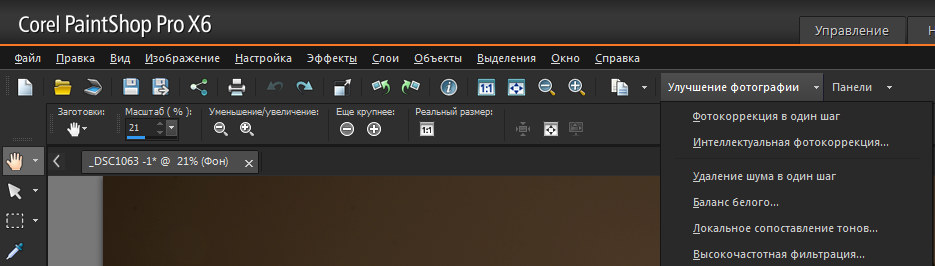 Обзор фоторедактора Corel PaintShop Pro X6