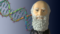 Обзор предложений Coursera: третьи 5 курсов Обзор предложений Coursera: третьи 5 курсов