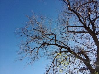 Обзор смартфона Meizu MX3 Обзор смартфона Meizu MX3