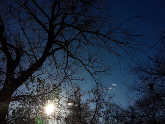 Обзор смартфона Meizu MX3 Обзор смартфона Meizu MX3