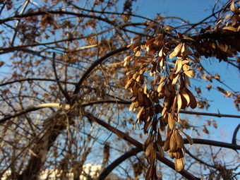 Обзор смартфона Meizu MX3 Обзор смартфона Meizu MX3