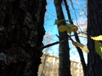 Обзор смартфона Meizu MX3 Обзор смартфона Meizu MX3