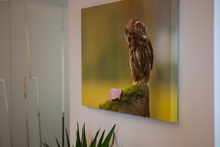 Один день в офисе 500px. Фото рассказ Один день в офисе 500px. Фото рассказ