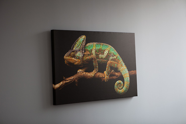 Один день в офисе 500px. Фото рассказ Один день в офисе 500px. Фото рассказ