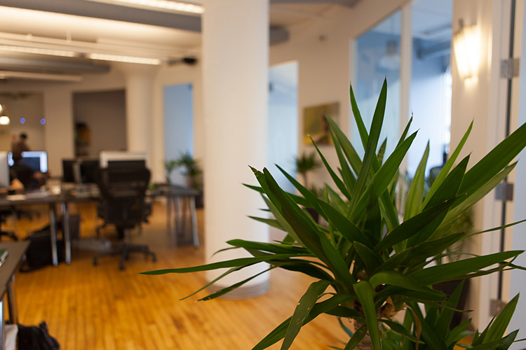 Один день в офисе 500px. Фото рассказ Один день в офисе 500px. Фото рассказ