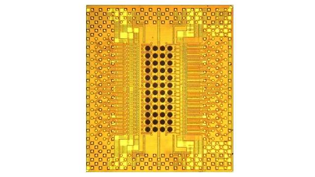 IBM Holey Optochip