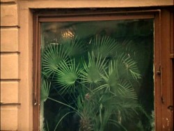 Оптимизация скорости [поиска] приложений на примере FAppSter для Android