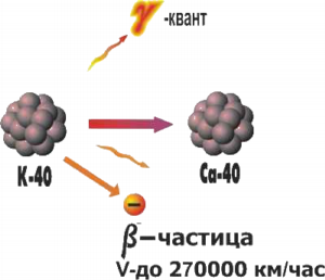 kalium-40-activity