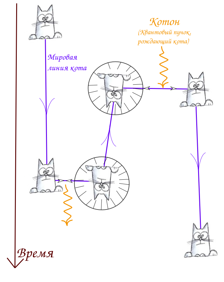 Перемещение кота во времени и пространстве