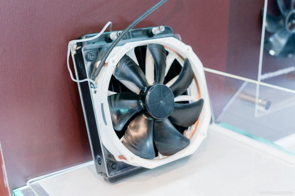 Noctua