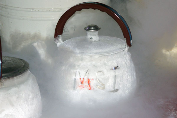 По стопам MSI Master Overclocking Arena 2012 По стопам MSI Master Overclocking Arena 2012