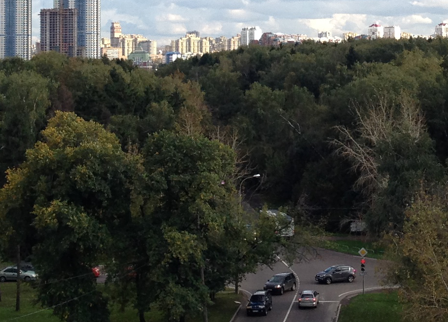 Подробный обзор iPhone 5s: неделя жизни с новинкой Подробный обзор iPhone 5s: неделя жизни с новинкой