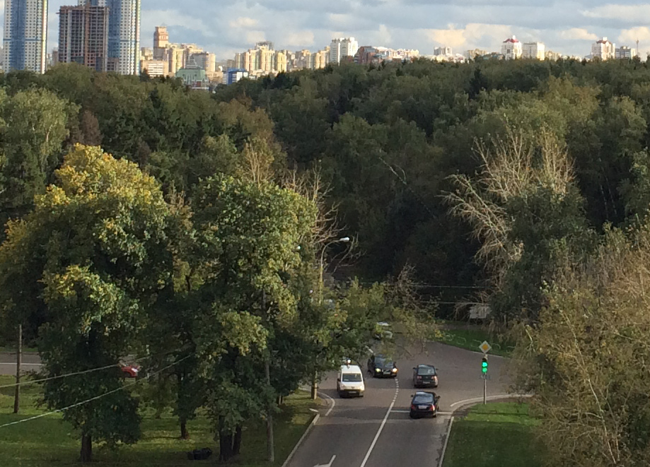 Подробный обзор iPhone 5s: неделя жизни с новинкой Подробный обзор iPhone 5s: неделя жизни с новинкой