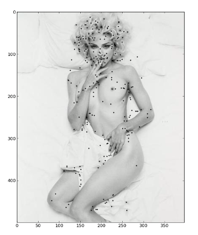 Поиск кропнутых дубликатов изображений с помощью перцептуальных хешей