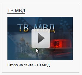 Полицейские за 2 млн рублей сделали сайт со своим телевидением и блэкджеком