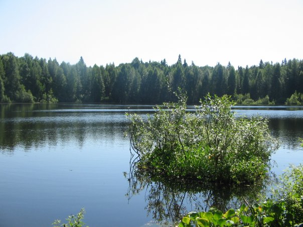 Поселок программистов – формирование команды