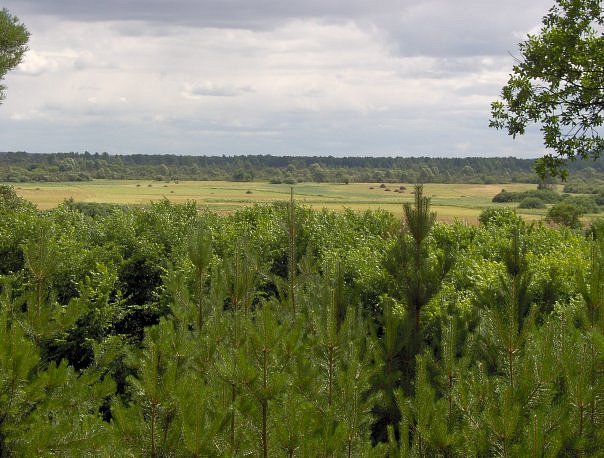 Поселок программистов – формирование команды