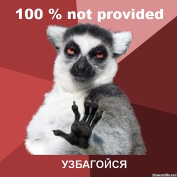 Повышение Not Provided в Google Analytics: что изменится в SEO?