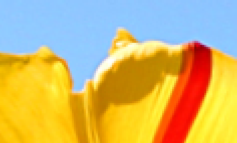 Прецизионный поворот растрового изображения на произвольный угол Прецизионный поворот растрового изображения на произвольный угол