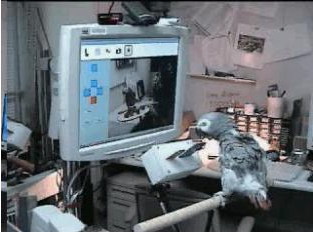 Проект Fab Lab – интернет для атомов