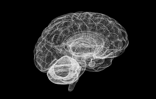 Проект «Человеческий мозг» официально стартовал