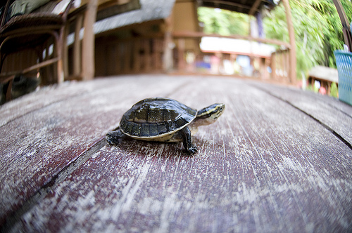 Damn, I am fast Проектирование высокопроизводительных систем: о чем не расскажут в книгах