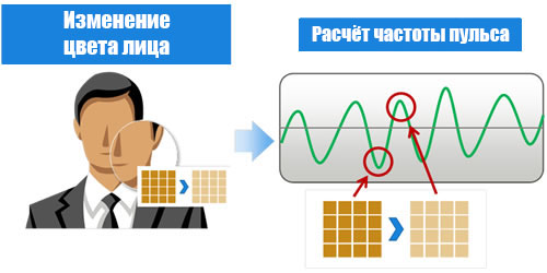 программное обеспечение от Fujitsu определит Ваш пульс по лицу