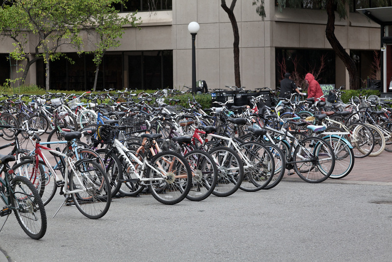 Прогулка по Стенфордскому университету Прогулка по Стенфордскому университету