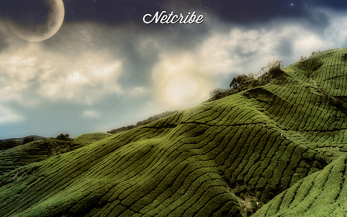 30efa81c4067e1a308e5bd8b431