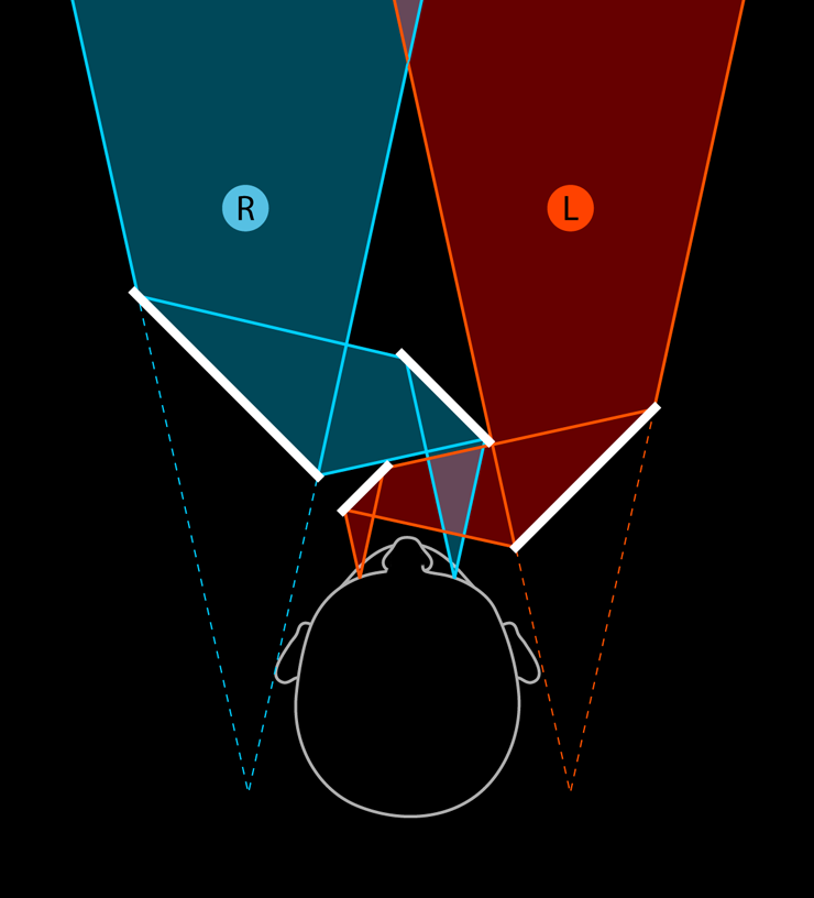 Псевдоскоп, или что если поменять глаза местами