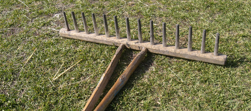 Работая в интересах Будущих Разработчиков