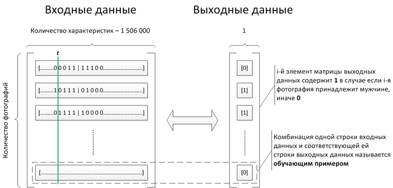 Распознавание пола в изображениях и видео