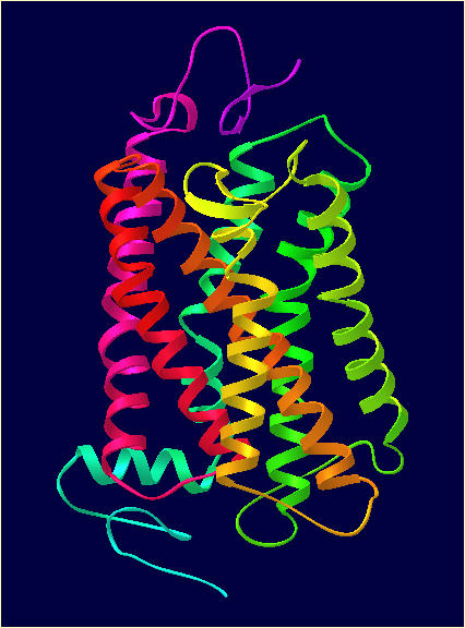 GPCR рецептор