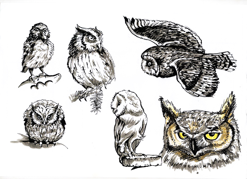 Разработка «браузерки» — уровень представления Пернатск