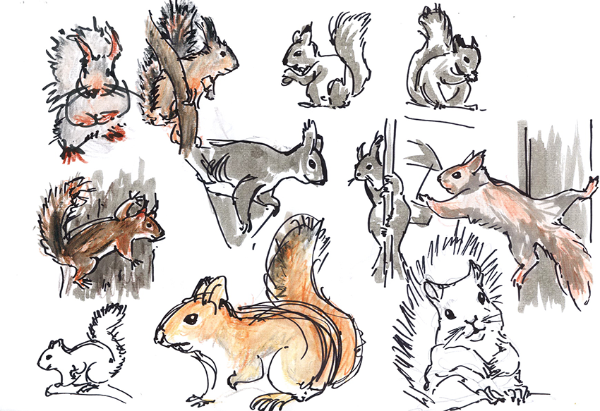 Разработка «браузерки» — уровень представления Пернатск