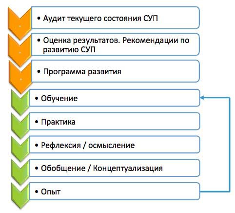 Развитие системы управления проектами в организации среднего бизнеса