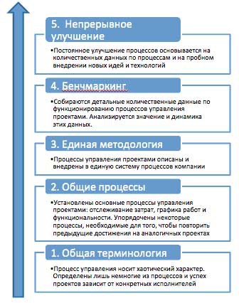 Развитие системы управления проектами в организации среднего бизнеса