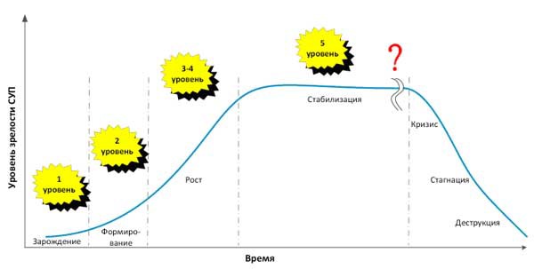 Развитие системы управления проектами в организации среднего бизнеса