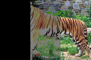 Режимы наложения слоёв в Web Режимы наложения слоёв в Web