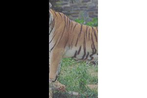 Режимы наложения слоёв в Web Режимы наложения слоёв в Web