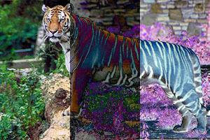 Режимы наложения слоёв в Web Режимы наложения слоёв в Web