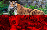 Режимы наложения слоёв в Web Режимы наложения слоёв в Web