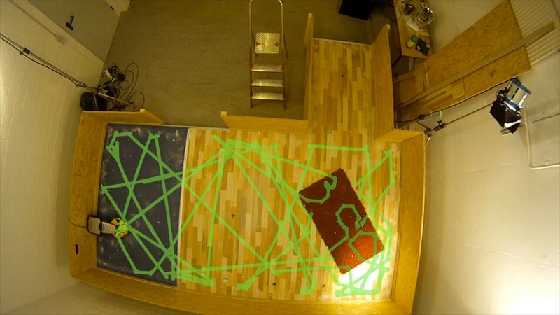 Робот пылесос Kärcher RC 3000: опыт эксплуатации