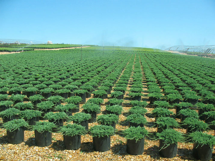 Роботы садовники Роботы садовники