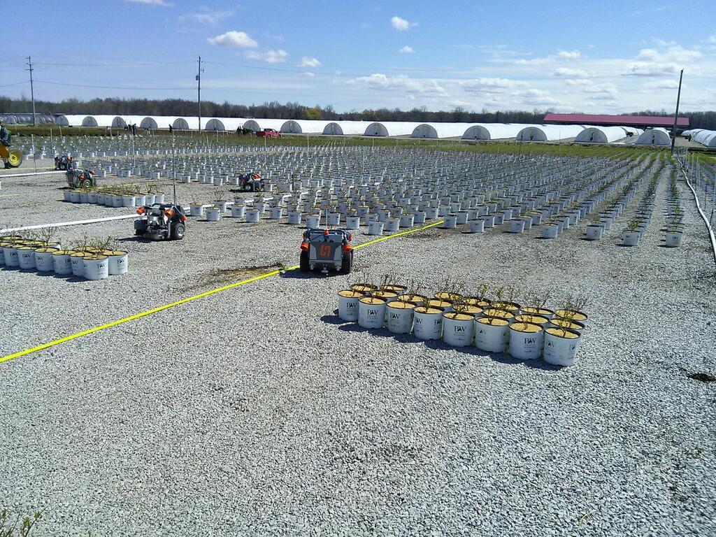 Роботы садовники Роботы садовники